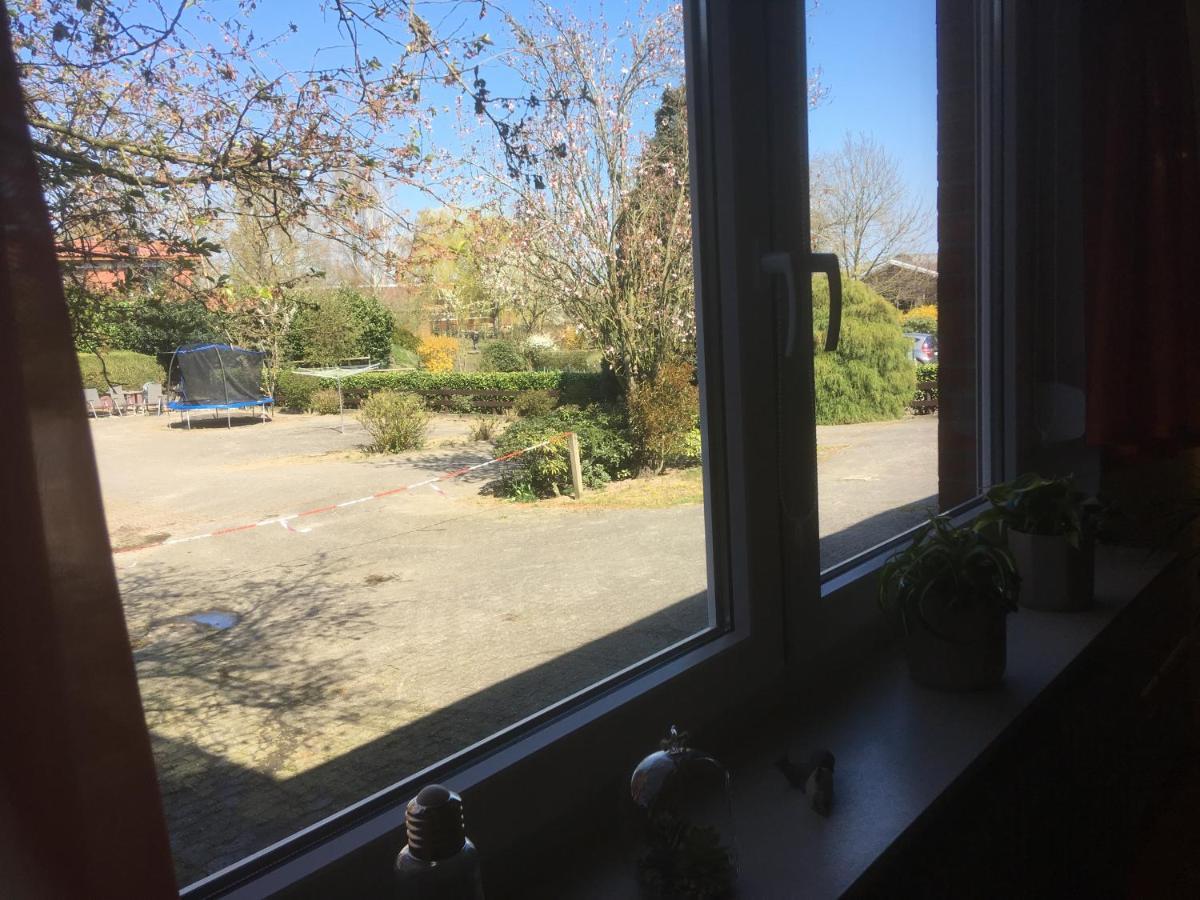 Ferienwohnung Tauchen Im Kreidesee, Keine Monteuerunterkunft Hemmoor Dış mekan fotoğraf